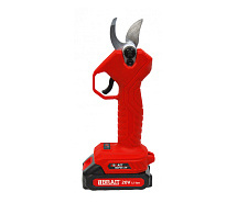 Секатор аккумуляторный BRAIT BCP 25-2V 2х2Ah